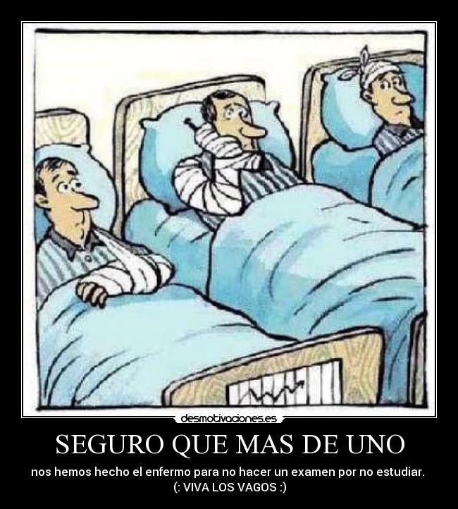 SEGURO QUE MAS DE UNO - 