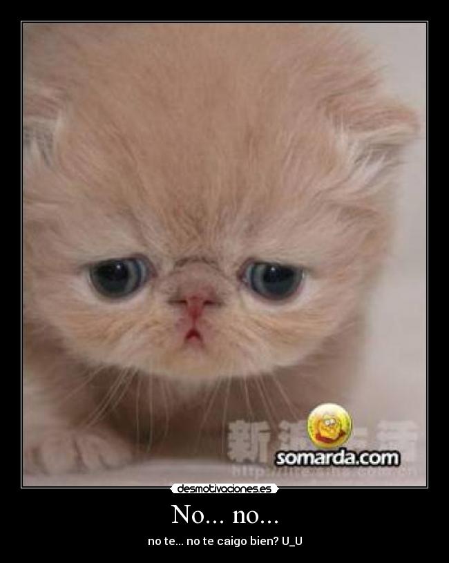 No... no... - no te... no te caigo bien? U_U