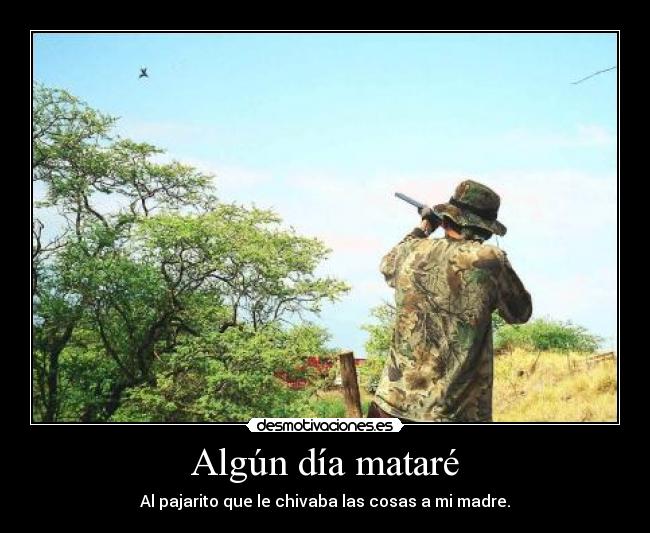 Algún día mataré -