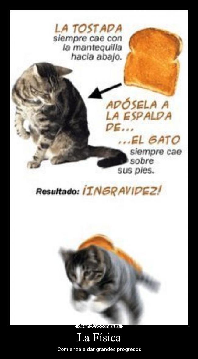 La Física - Comienza a dar grandes progresos