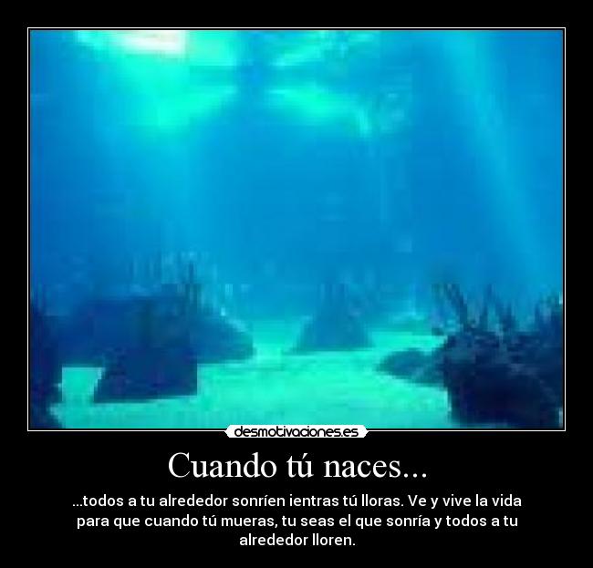 Cuando tú naces... - ...todos a tu alrededor sonríen ientras tú lloras. Ve y vive la vida
para que cuando tú mueras, tu seas el que sonría y todos a tu
alrededor lloren.