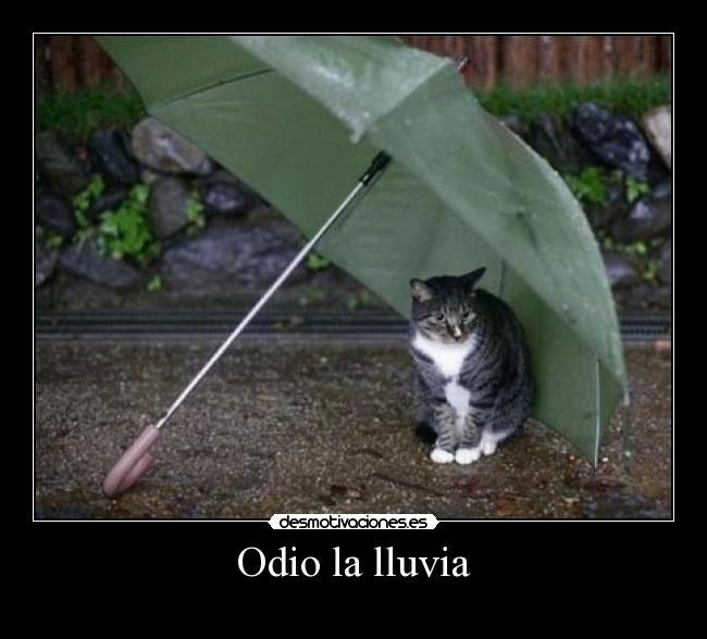 Odio la lluvia - 