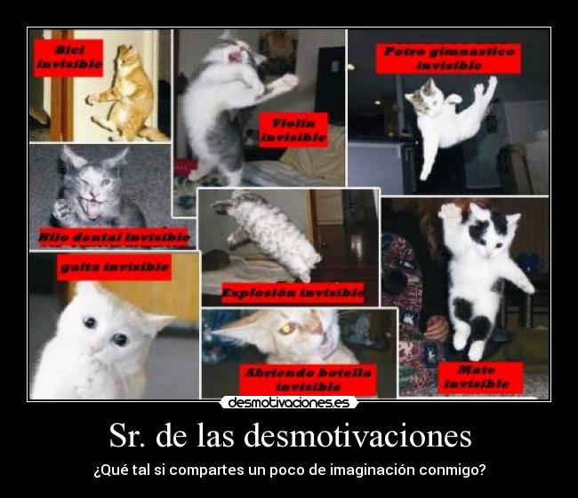 Sr. de las desmotivaciones -