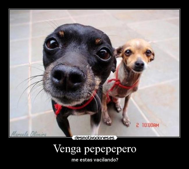 Venga pepepepero -