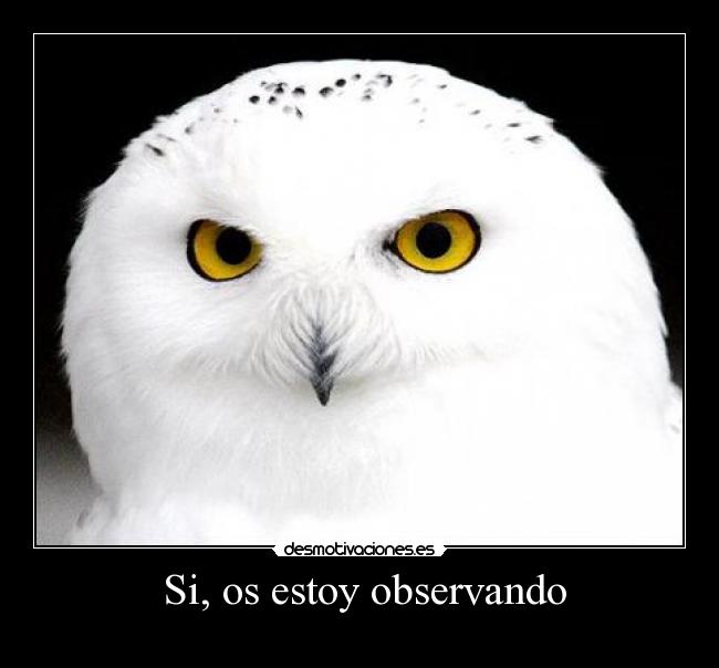 Si, os estoy observando -