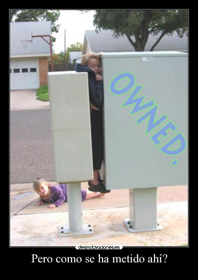 Pero como se ha metido ahí? - 