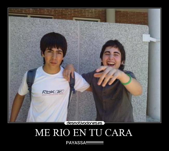 carteles fran jose guille raul dani bescollina desmotivaciones