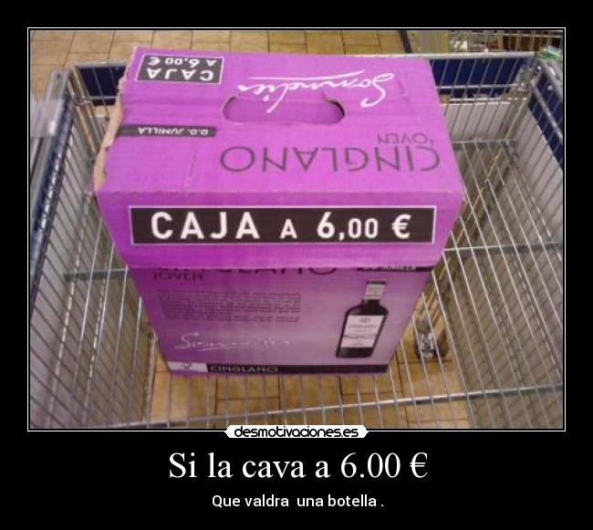 Si la cava a 6.00 € - Que valdra una botella .