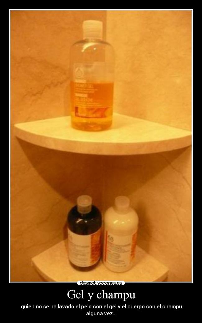 Gel y champu - 