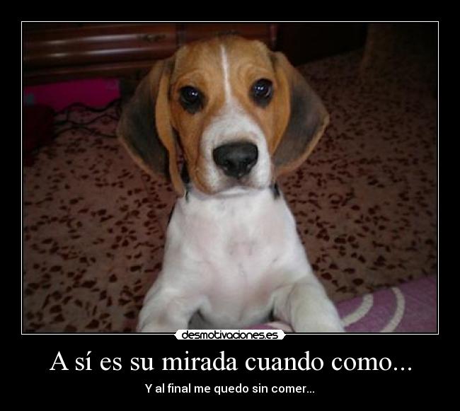 A sí es su mirada cuando como... - 