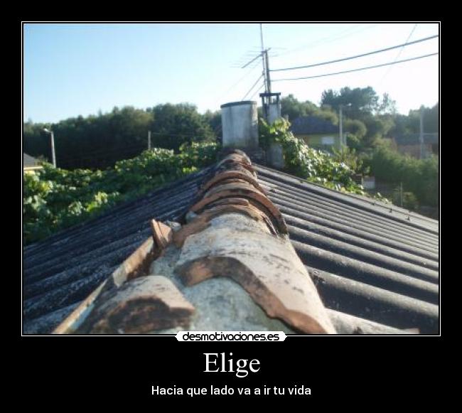 carteles lado tejado vida elige resto desmotivaciones