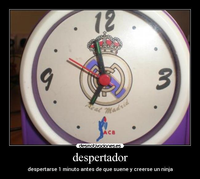 despertador - 
