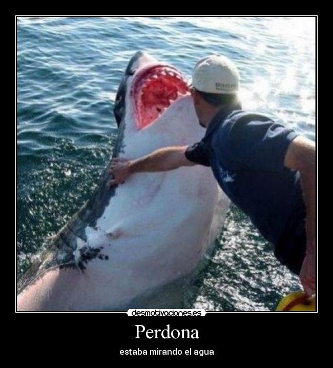 Perdona - estaba mirando el agua