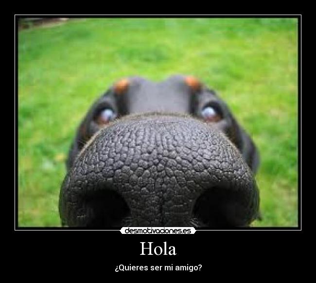 Hola -