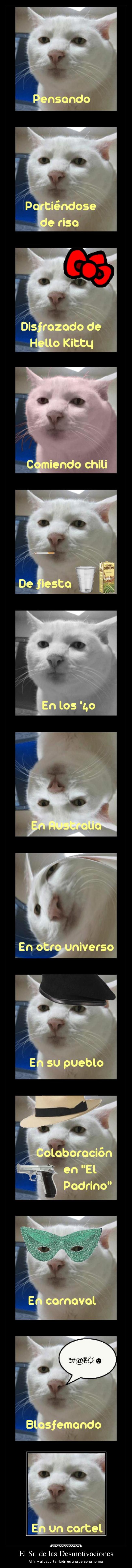 El Sr. de las Desmotivaciones - Al fin y al cabo, también es una persona normal