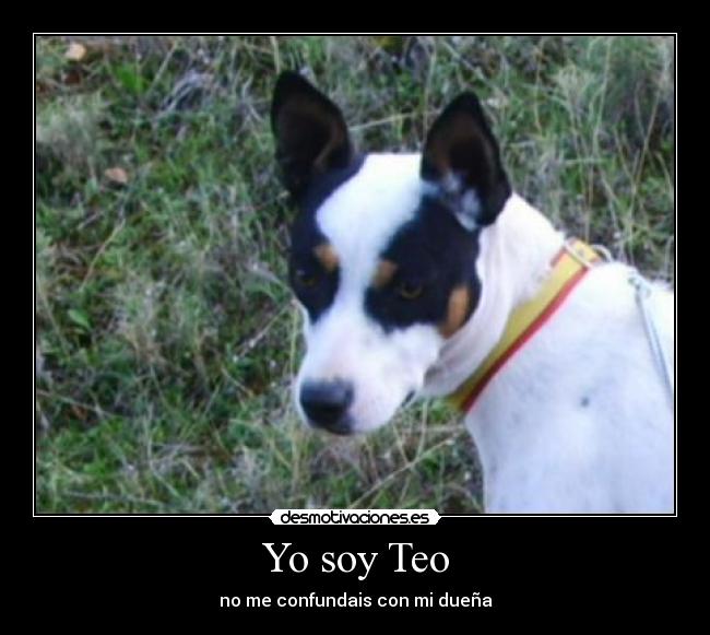 Yo soy Teo - 