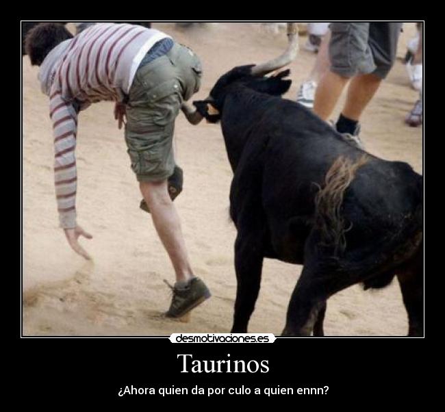 Taurinos - ¿Ahora quien da por culo a quien ennn?