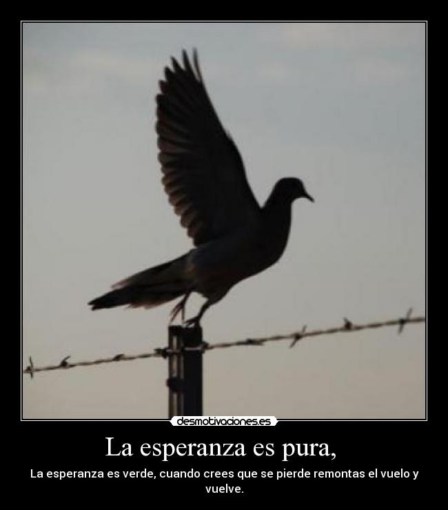 carteles esperanza esperanza desmotivaciones