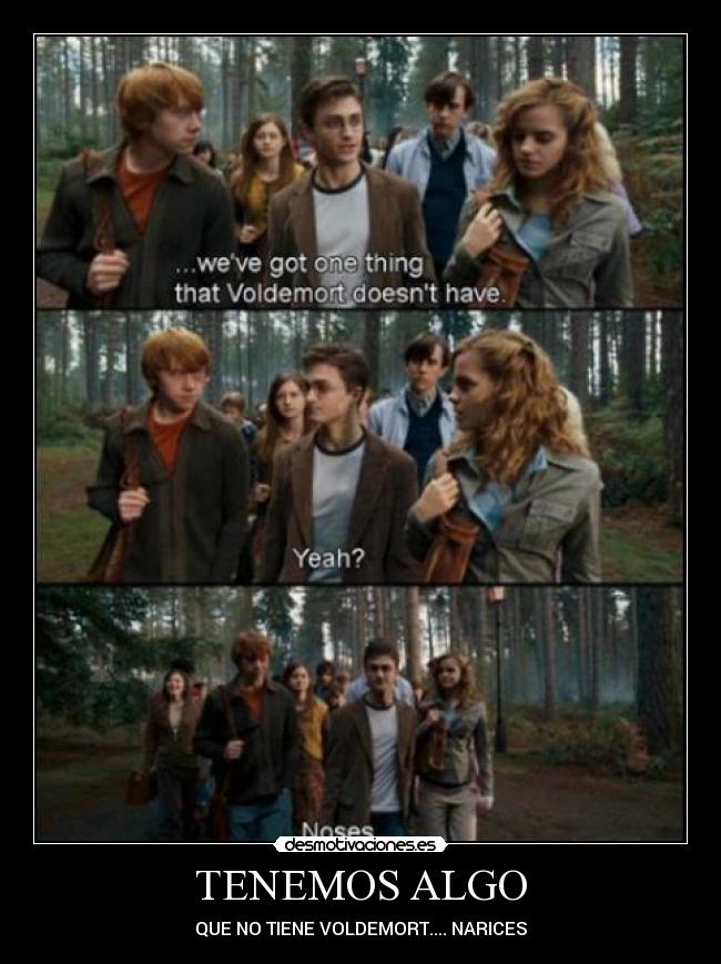 carteles harry potter desmotivaciones