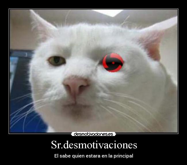 Sr.desmotivaciones - 
