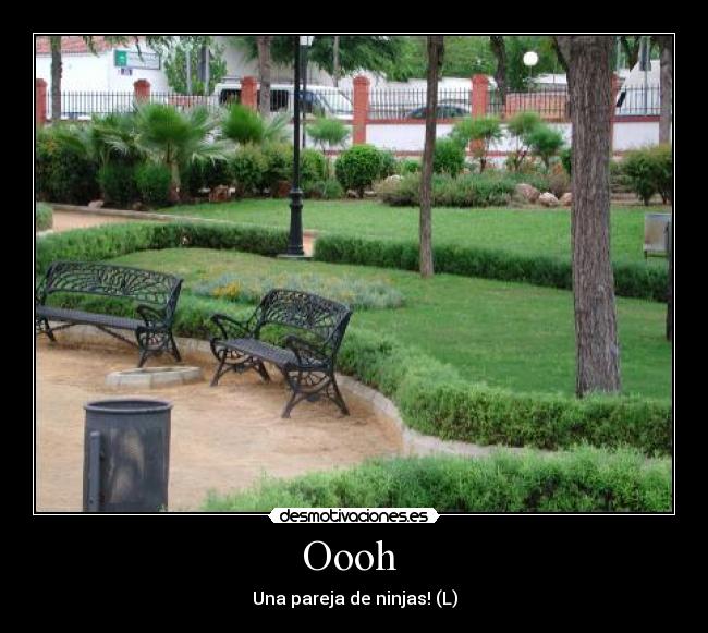 Oooh  - Una pareja de ninjas! (L)