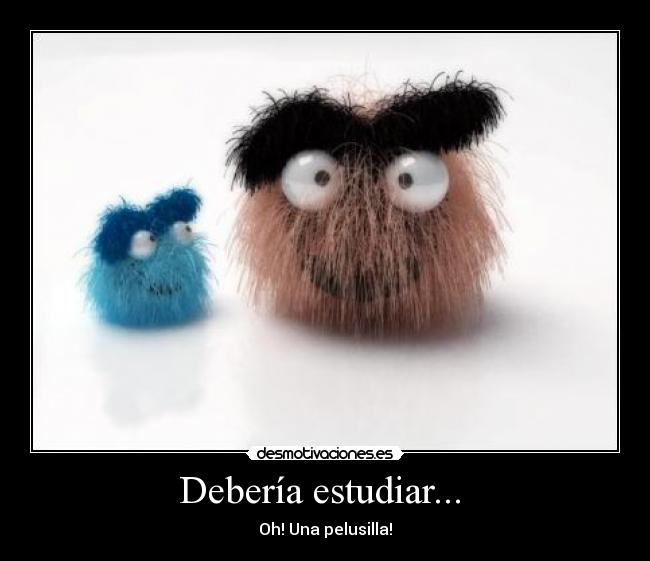 Debería estudiar... - Oh! Una pelusilla!