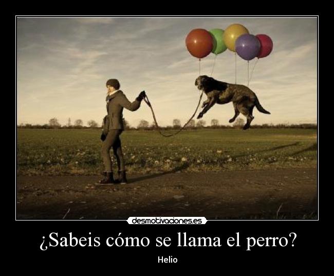 ¿Sabeis cómo se llama el perro? - 