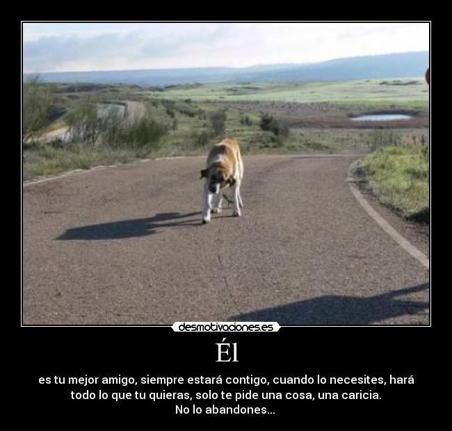 Él - es tu mejor amigo, siempre estará contigo, cuando lo necesites, hará
todo lo que tu quieras, solo te pide una cosa, una caricia.
No lo abandones...
