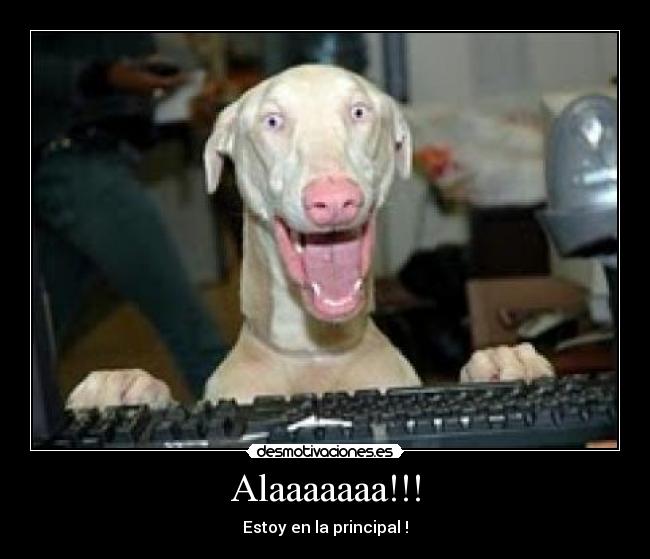 Alaaaaaaa!!! -