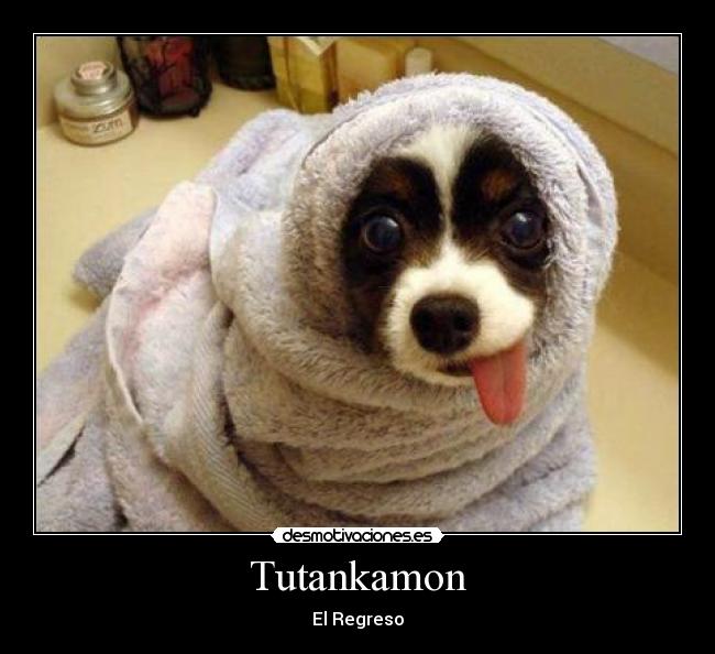 Tutankamon -