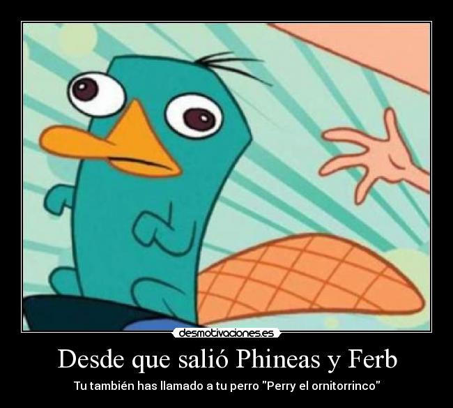 Desde que salió Phineas y Ferb - Tu también has llamado a tu perro Perry el ornitorrinco