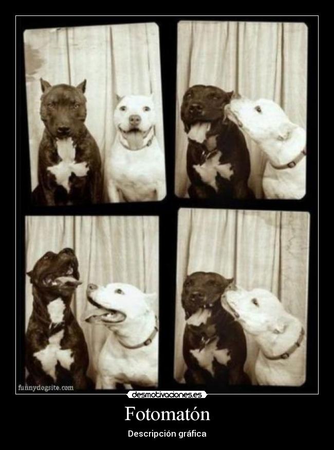Fotomatón - Descripción gráfica