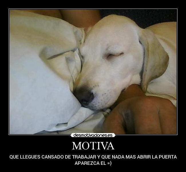 MOTIVA - 