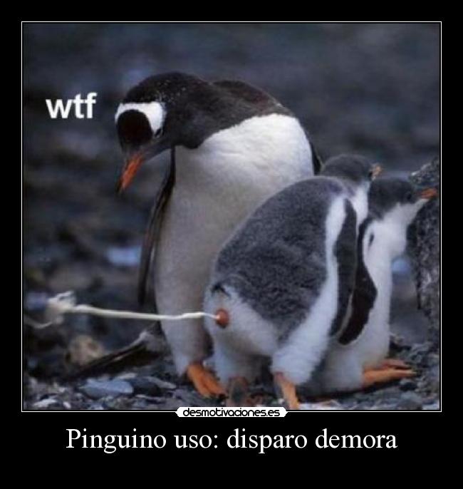 Pinguino uso: disparo demora -