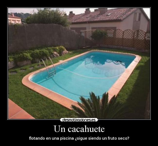 Un cacahuete - flotando en una piscina ¿sigue siendo un fruto seco?