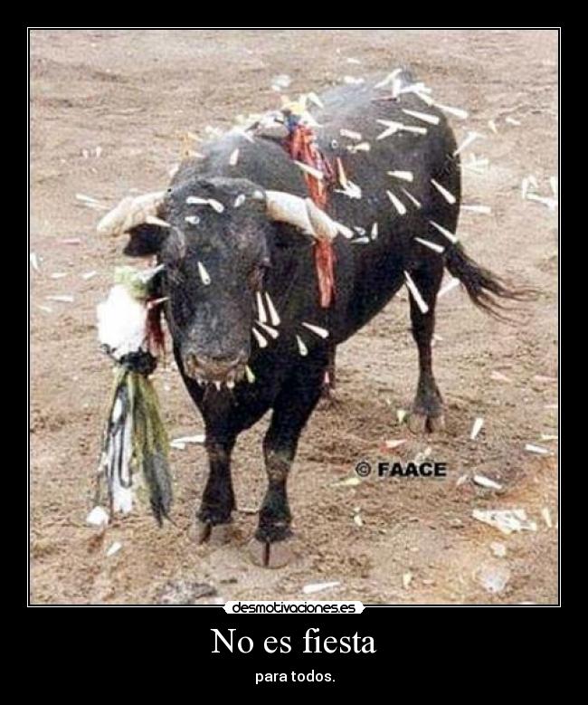 No es fiesta - 