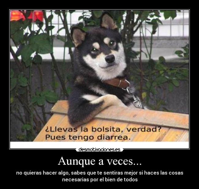 Aunque a veces... -
