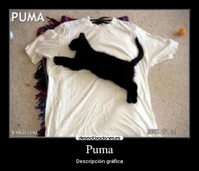 Puma - 