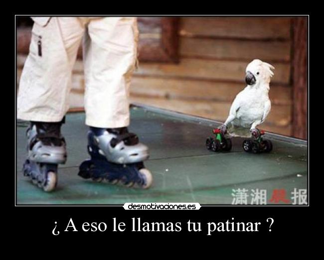 ¿ A eso le llamas tu patinar ? - 