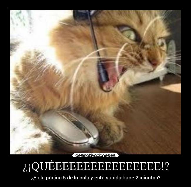 ¿¡QUÉEEEEEEEEEEEEEEE!? -