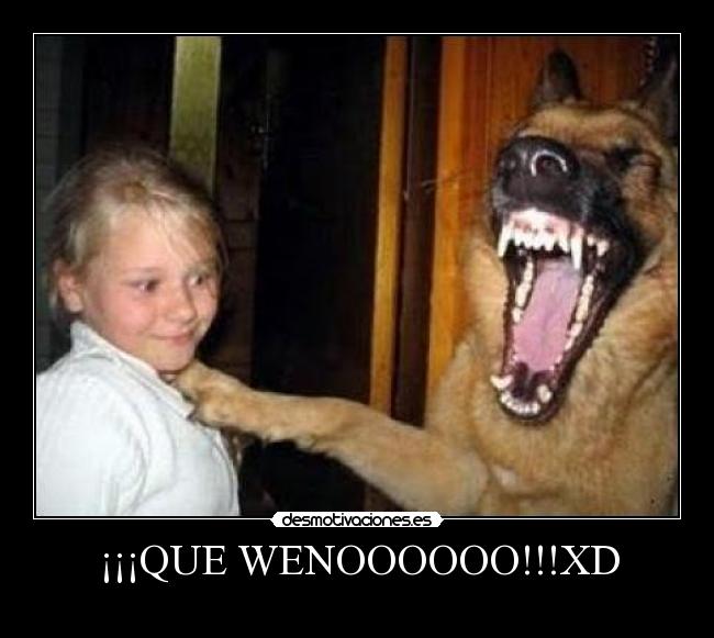 ¡¡¡QUE WENOOOOOO!!!XD - 