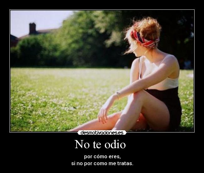 No te odio -