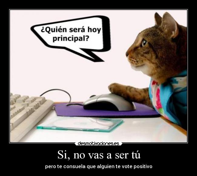 Si, no vas a ser tú - pero te consuela que alguien te vote positivo