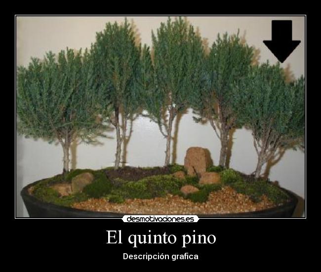 El quinto pino -