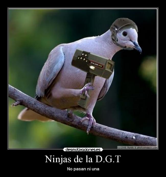 Ninjas de la D.G.T - No pasan ni una