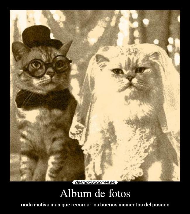 carteles recuerdos desmotivaciones