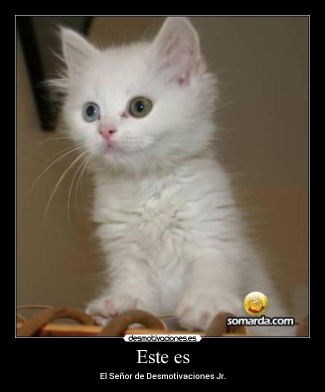 Este es - El Señor de Desmotivaciones Jr.