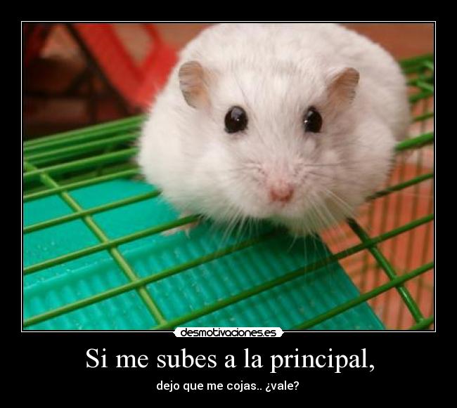 Si me subes a la principal, - dejo que me cojas.. ¿vale?