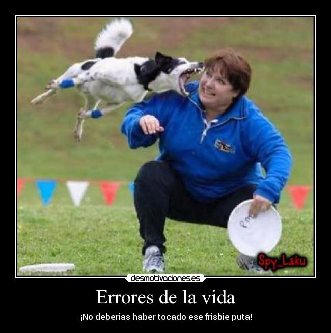 Errores de la vida - ¡No deberias haber tocado ese frisbie puta!