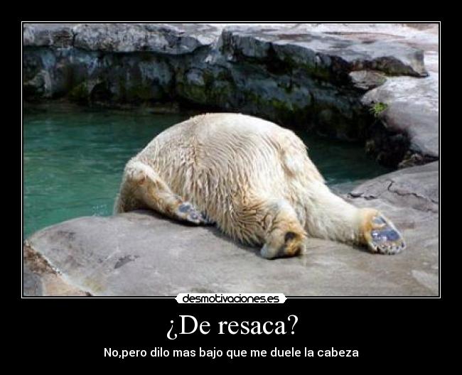 ¿De resaca? - 